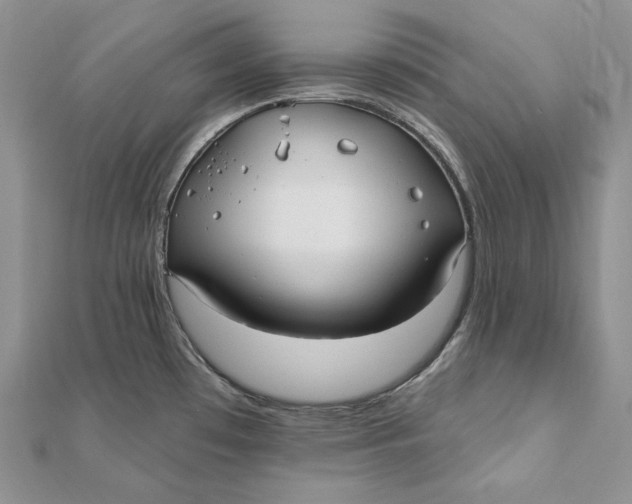 X0000112361481200909031900