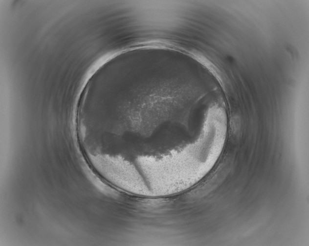 X0000112361482200909031900