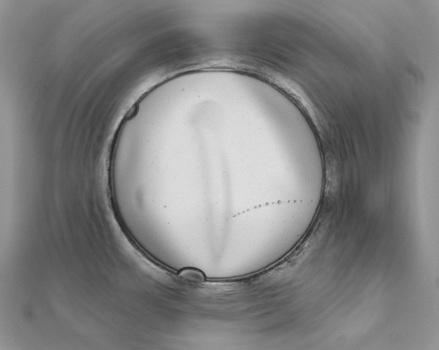 X0000112361483200909031900