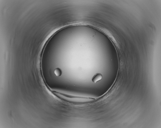 X0000112361484200909031900