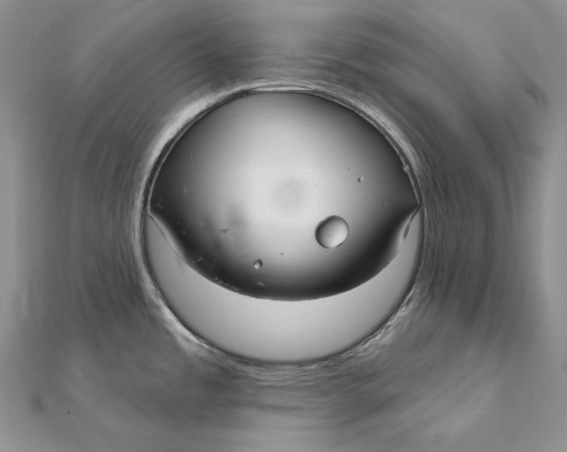 X0000112361485200909031900