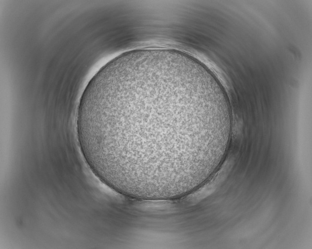 X0000112361486200909031900