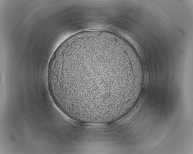 X0000112361487200909031900