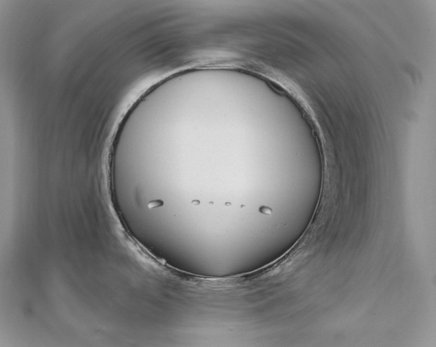 X0000112361488200909031900