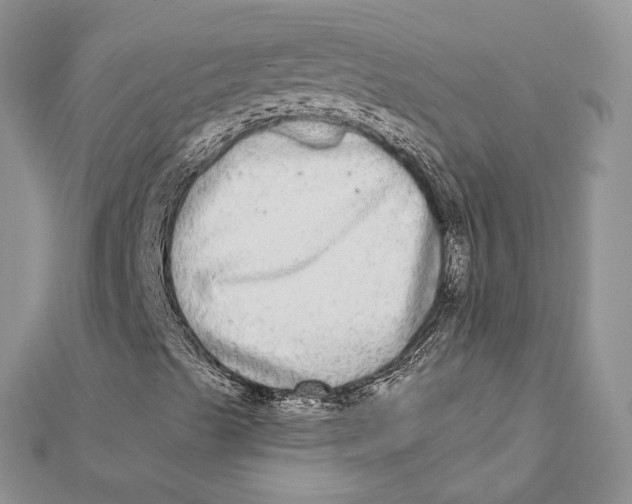 X0000112361489200909031859