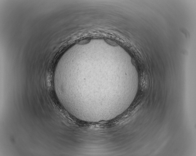 X0000112361490200909031859