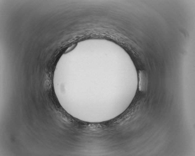 X0000112361491200909031859