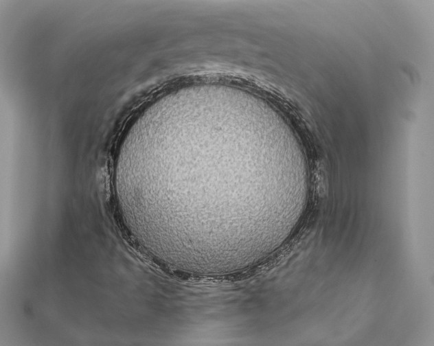 X0000112361493200909031859