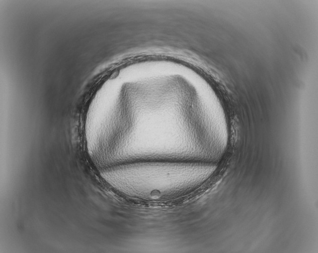 X0000112361494200909031859