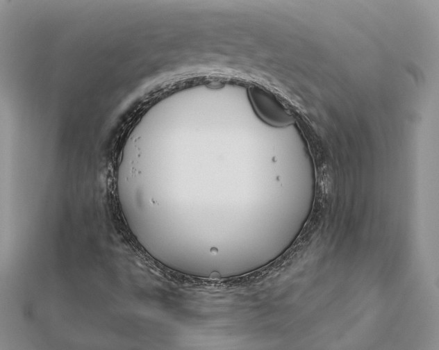 X0000112361495200909031859