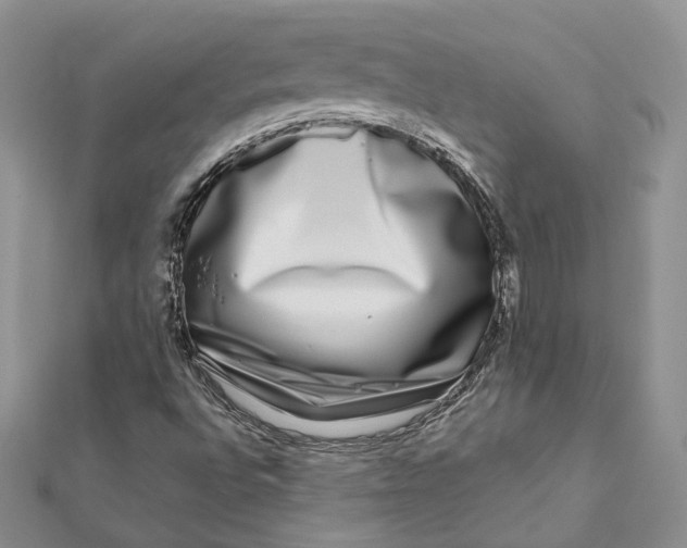 X0000112361496200909031859