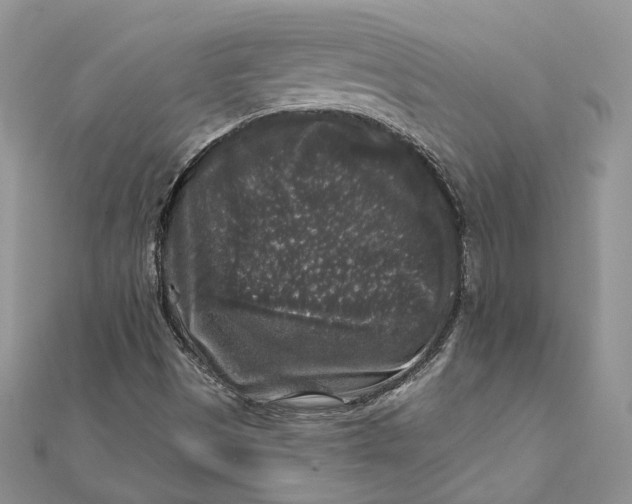 X0000112361497200909031859