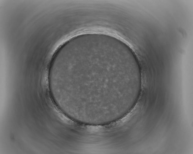 X0000112361498200909031859