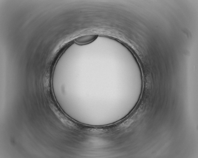 X0000112361499200909031859