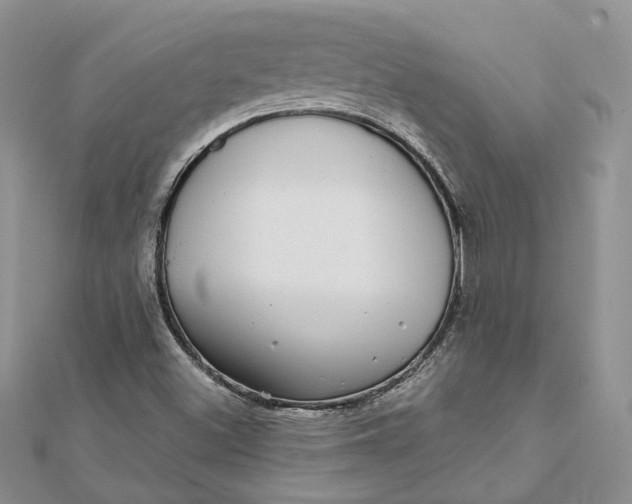 X0000112361500200909031859