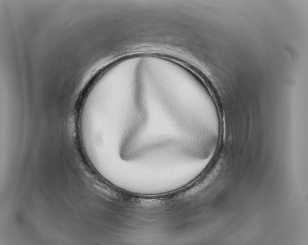 X0000112361501200909031859