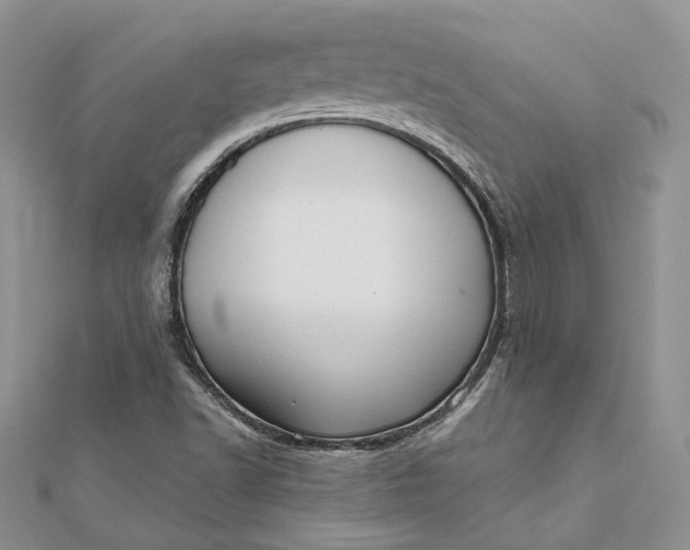 X0000112361502200909031859