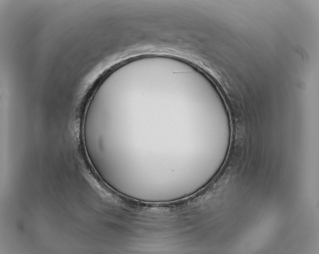 X0000112361503200909031859