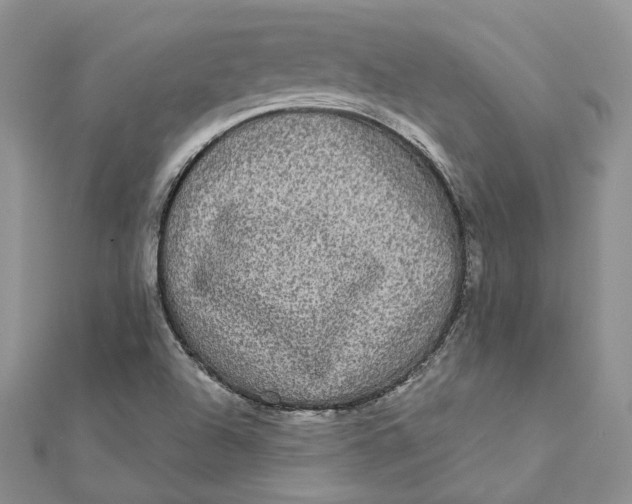 X0000112361504200909031859