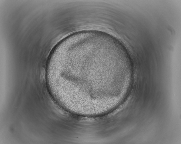 X0000112361505200909031859