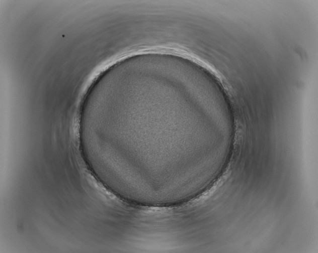 X0000112361506200909031859