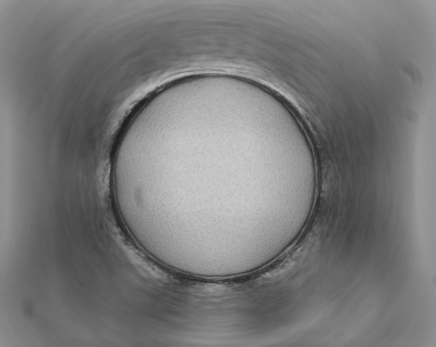 X0000112361507200909031859