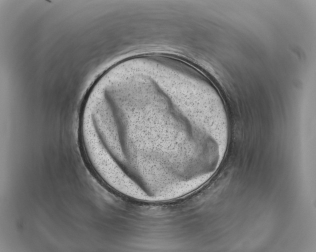 X0000112361508200909031859