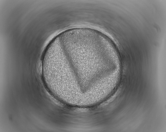 X0000112361509200909031859