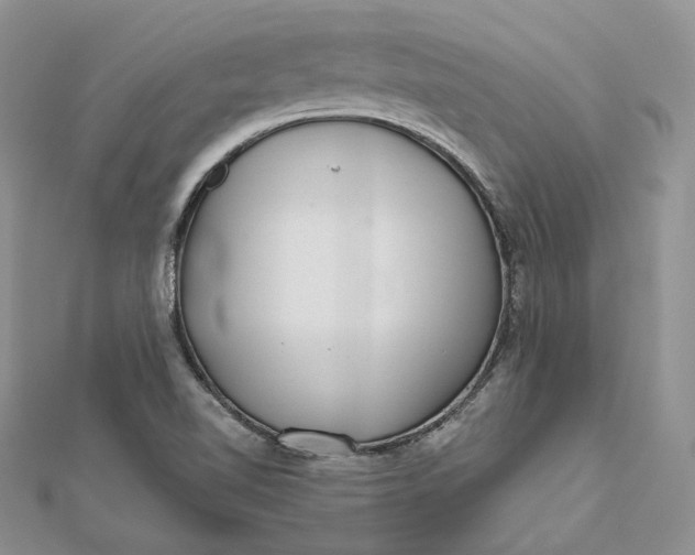 X0000112361510200909031859