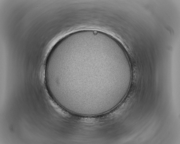 X0000112361511200909031859