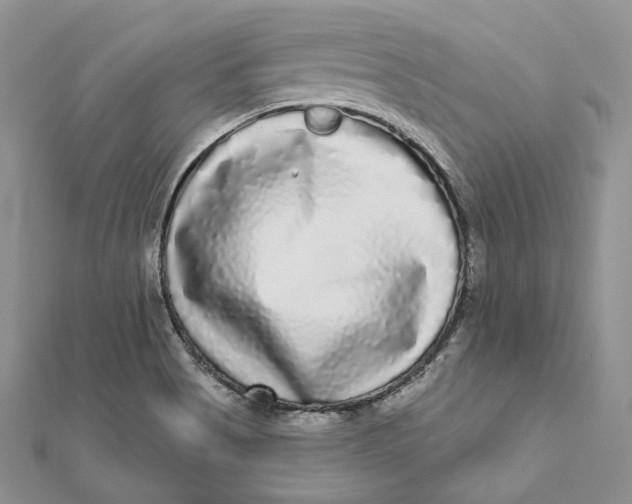 X0000112361513200909031859