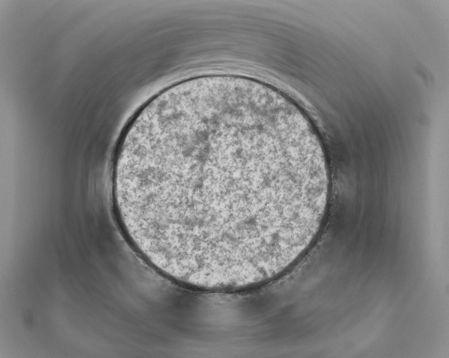 X0000112361514200909031859