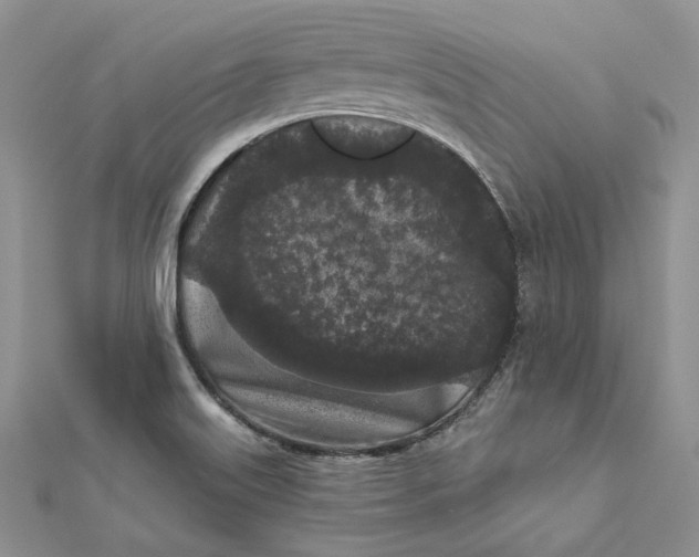 X0000112361515200909031859