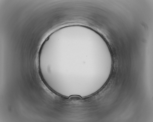 X0000112361516200909031859