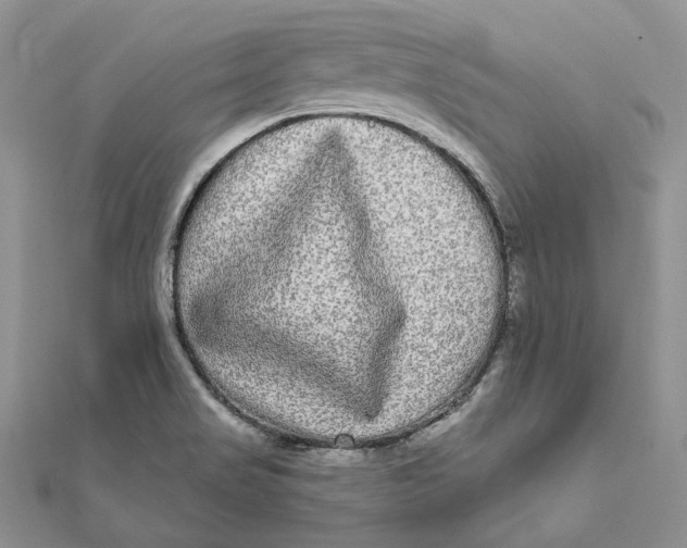 X0000112361517200909031859