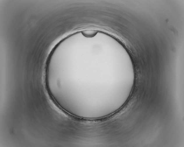 X0000112361518200909031859