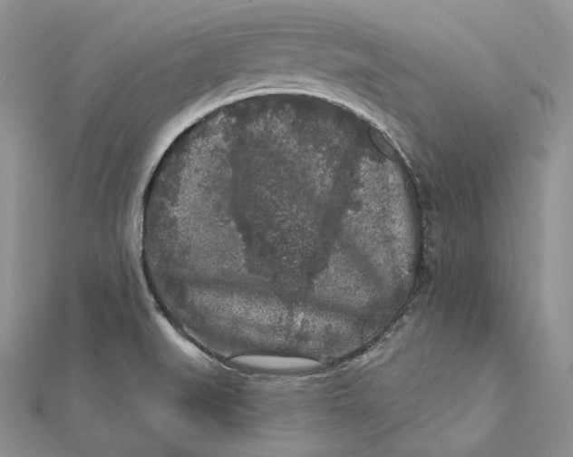 X0000112361519200909031859