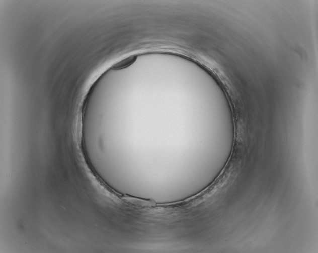 X0000112361520200909031859