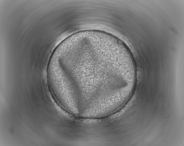 X0000112361521200909031859