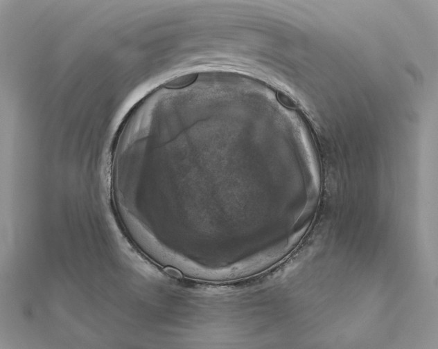 X0000112361522200909031859