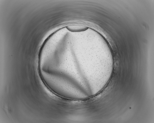 X0000112361523200909031859