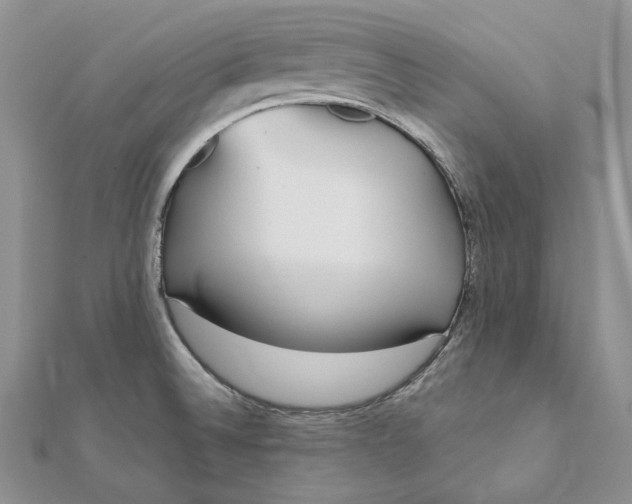 X0000112361524200909031859