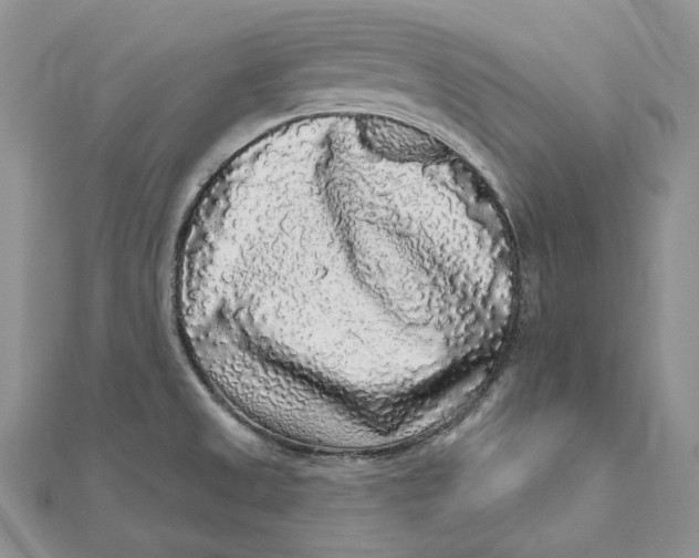 X0000112361525200909031859