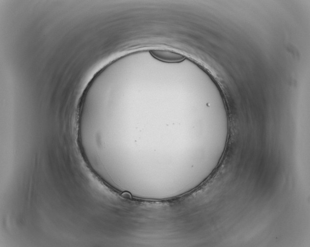 X0000112361526200909031859