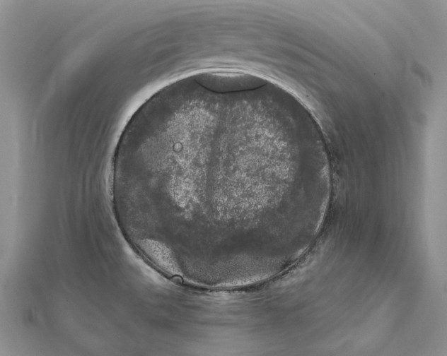 X0000112361527200909031859