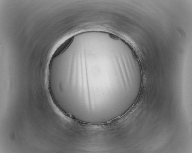 X0000112361528200909031859