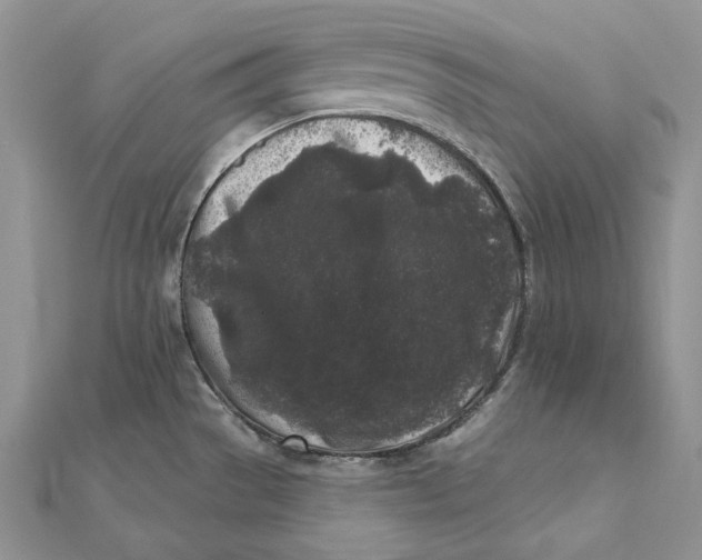 X0000112361529200909031900