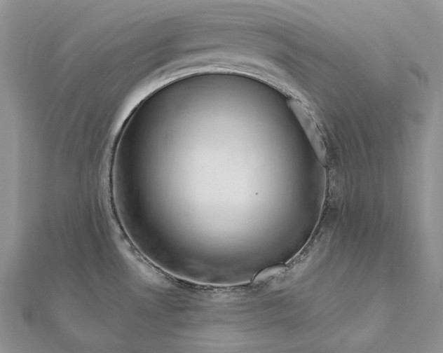 X0000112361530200909031900