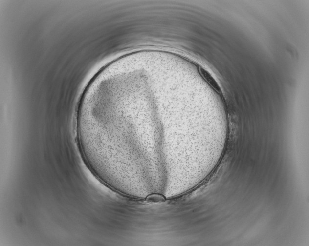 X0000112361531200909031900