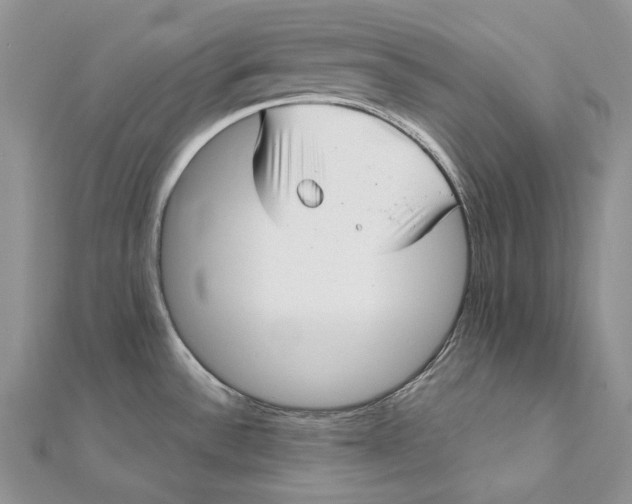 X0000112361532200909031900